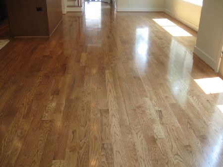 Warm glue-down short plank hardwood floor with varied oak grain in a Houston room